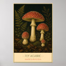 Search for vintage botanical mushrooms posters Woodland