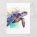 Search for turtle painting postcards Islands
