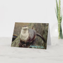 Search for river cards Wildlife
