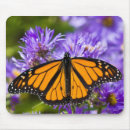 Search for aster flower mouse mats Flowers