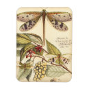 Search for dragonfly magnets Cream