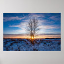 Search for 36x24 posters Sunset
