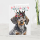 Search for doxies cards Dogs