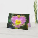 Search for cattleya cards Happy mother's day