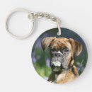 Search for boxer photo key rings Brindle
