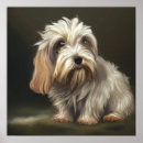 Search for griffon dog breed Companion