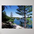 Search for stampede art Nature