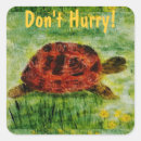 Search for tortoise stickers Funny