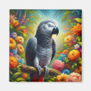 Search for african square magnets Tropical