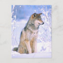 Search for timber wolf cards Dog