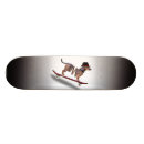 Search for dachshund skateboards Pet