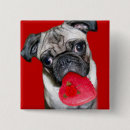 Search for pug love badges Dogs