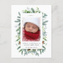Search for pinecone christmas cards Greenery
