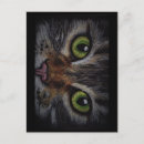 Search for kats postcards Cat