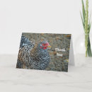 Search for hen thank you cards Black and white