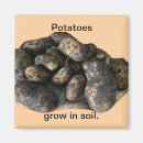 Search for potato magnets Food