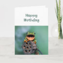Search for happy frog Fun
