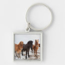 Search for icelandic horses key rings Farm