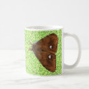 Search for bug pictures mugs Wildlife
