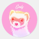 Search for ferret stickers Mustelid