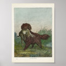 Search for vintage dog posters British