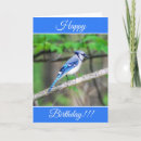 Search for blue jay birthday cards Birder