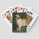 Search for profile sports games Pug