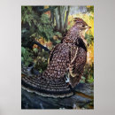 Search for vintage natural history posters Wildlife