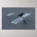 Search for magpies posters Wildlife