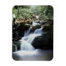Search for danita delimont magnets Great smoky mountains