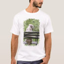 Search for three quarter length tshirts Vertical