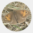 Search for brown butterfly stickers Beautiful