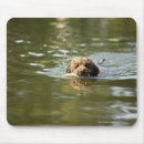 Search for heated mouse mats Nature