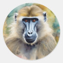 Search for baboon stickers Primate