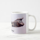 Search for reconnaissance plane mugs Aircraft