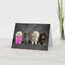 Search for panting cards Dog