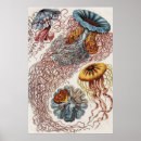 Search for marine posters Underwater