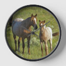 Search for horse clocks Farm