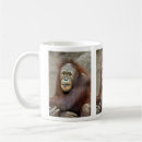 Search for orangutan baby mugs Nature