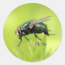 Search for funny bug stickers Fly