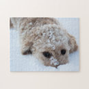 Search for goldendoodle puzzles Adorable