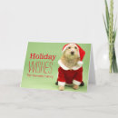 Search for costume cards One animal