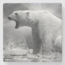 Search for aggressive coasters Background