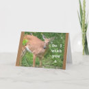 Search for suring cards Friend