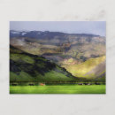 Search for icelandic horse Landscape