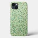 Search for melon ipad cases Fruit