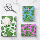 Search for monstera wrapping paper Botanical