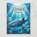 Search for shark postcards Travel