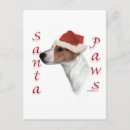 Search for jack russell dog cards Animals