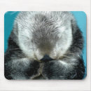 Search for snooze mouse mats Animal